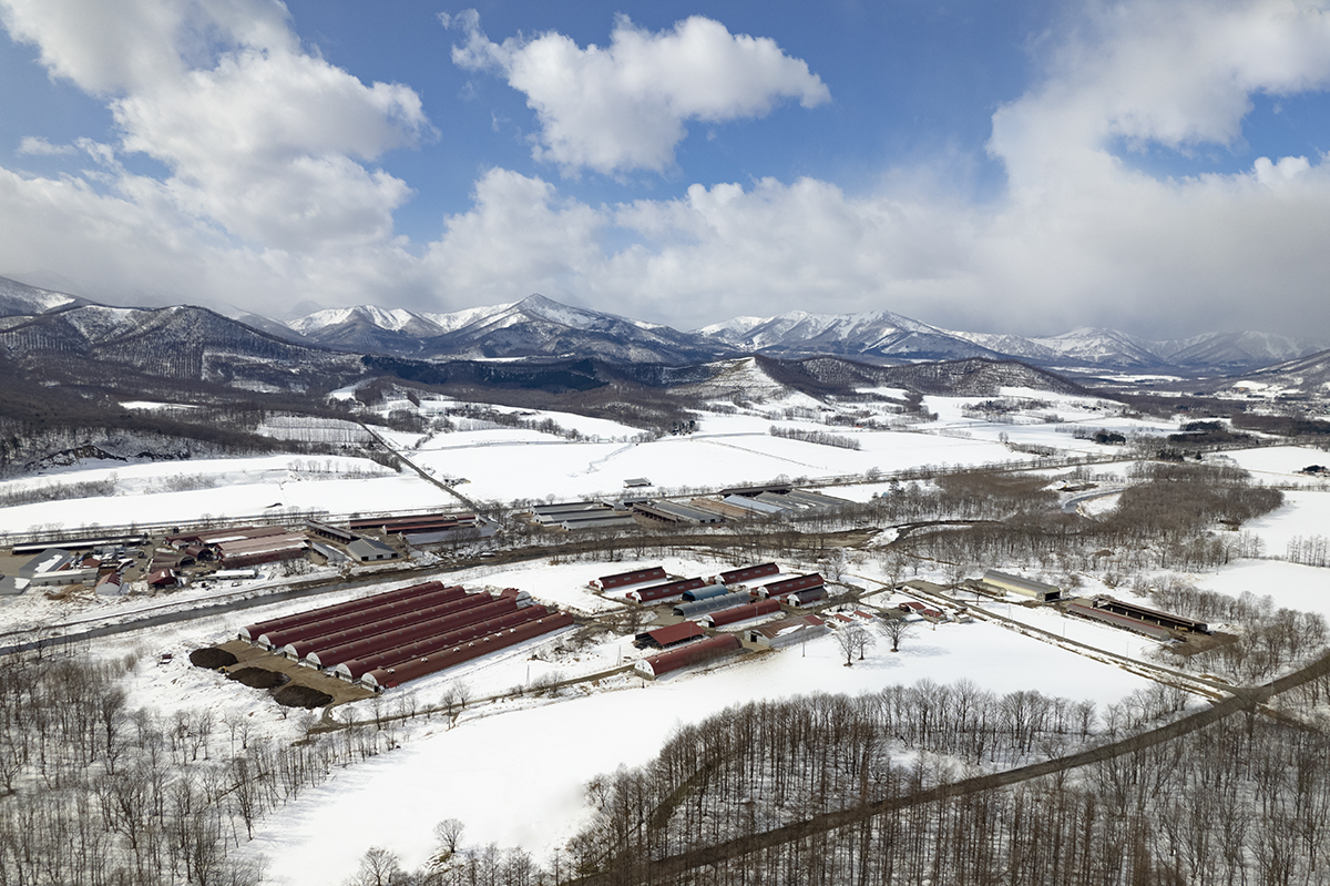 南新得牧場空撮